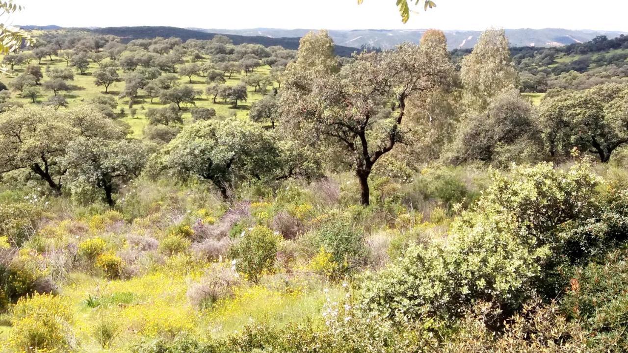 אל קסטיו דה לאס גוארדאס Casa Rural La Aulaga מראה חיצוני תמונה
